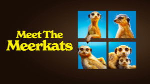Meet The Meerkats kép