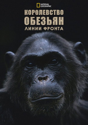 Kingdom of the Apes: Battle Lines poszter