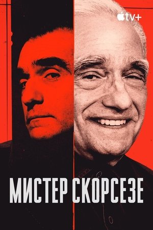 Mr. Scorsese poszter