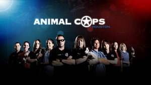 Animal Cops: Houston kép