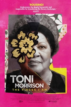 Toni Morrison: The Pieces I Am poszter