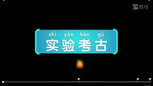 斑马百科 21. évad Ep.11 11. epizód