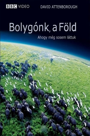 Bolygónk, a Föld poszter