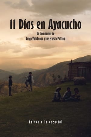 11 Días en Ayacucho