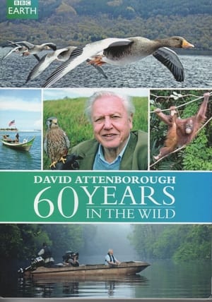 Attenborough - 60 év a vadonban poszter