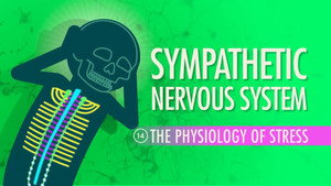 Crash Course Anatomy & Physiology 1. évad Ep.14 14. epizód
