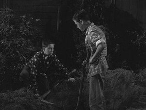 The Hardy Boys Season 1 Ep.7 7. epizód