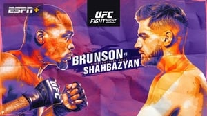 UFC Fight Night 173: Brunson vs. Shahbazyan háttérkép