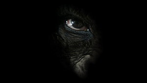 Rise of the Warrior Apes háttérkép
