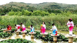 佳节 kép
