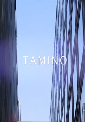 Tamino - live @ Les Concerts Volants poszter