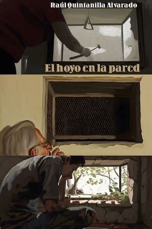 Un hoyo en la pared poszter