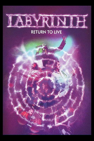 Labyrinth - Return to Live poszter