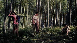 十天 háttérkép