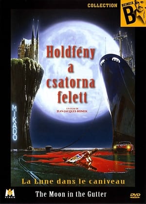 Holdfény a csatorna felett