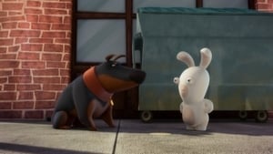 Rabbids: Invázió Season 1 Ep.33 33. epizód