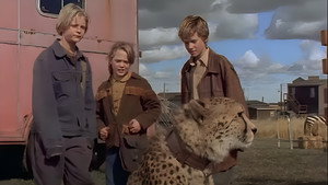 Jake and The Kid Season 2 Ep.11 11. epizód