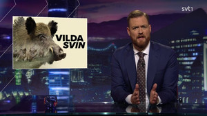 Svenska nyheter Season 4 Ep.5 5. epizód