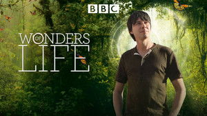 Wonders of Life kép
