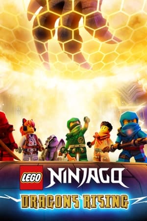 LEGO Ninjago - Sárkányok birodalma poszter