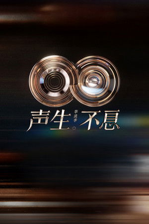 声生不息