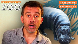 Une saison au zoo Season 6 Ep.1 1. epizód