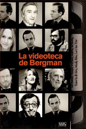 Bergmans video poszter