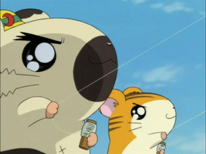 とっとこハム太郎 Season 1 Ep.79 79. epizód