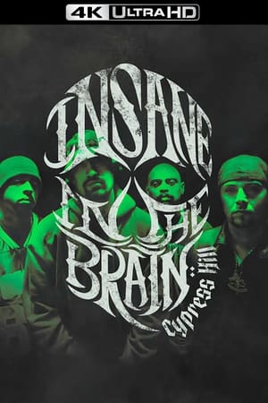 Cypress Hill: Insane in the Brain poszter