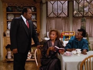 Family Matters Season 1 Ep.8 8. epizód