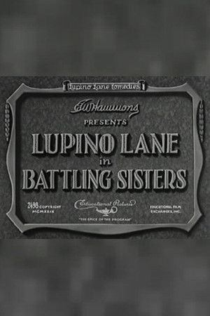 Battling Sisters poszter