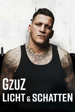 GZUZ - Licht & Schatten poszter