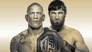 UFC 313: Pereira vs. Ankalaev háttérkép