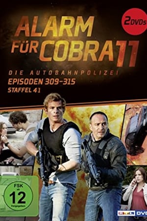 Cobra 11