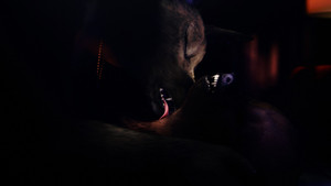 Bouchra háttérkép