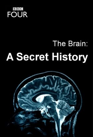 The Brain: A Secret History