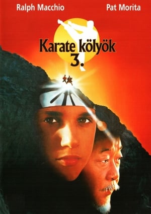 Karate kölyök 3.