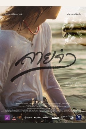 ลายจำ poszter