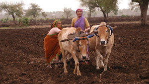 गाभ्रीचा पाऊस háttérkép