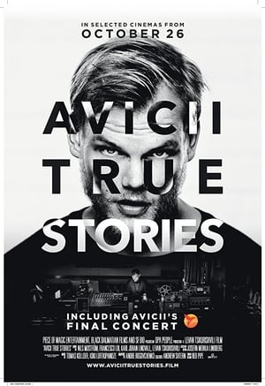 Avicii Igaz történetek poszter