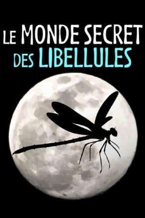 Le Monde secret des libellules poszter