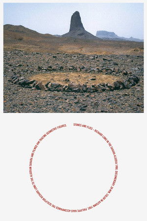 Stones and Flies: Richard Long in the Sahara poszter