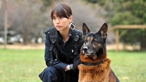 DOG×POLICE 純白の絆 háttérkép