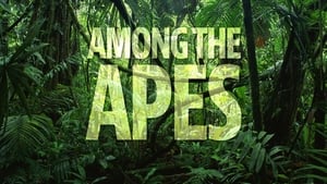 Among the Apes kép