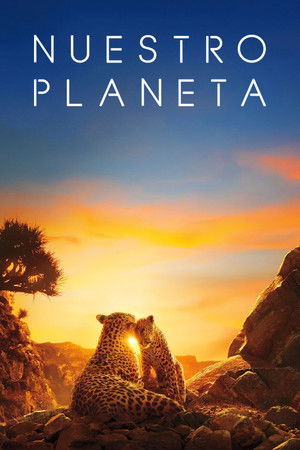 Our Planet – Bolygónk csodái poszter