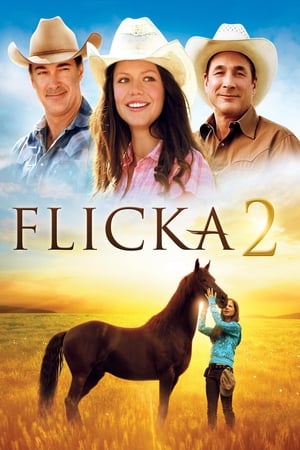 Flicka 2. poszter