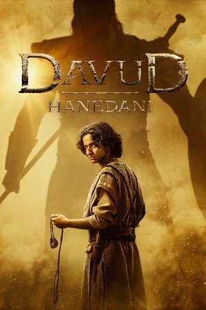 Dávid háza poszter