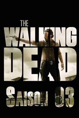 The Walking Dead poszter