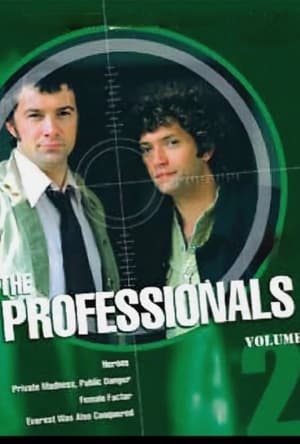 The Professionals poszter