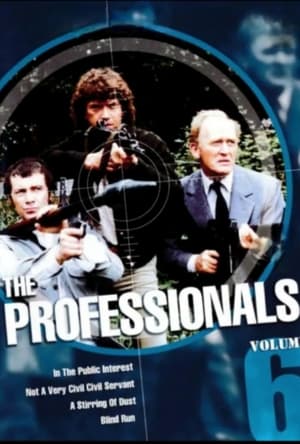 The Professionals poszter